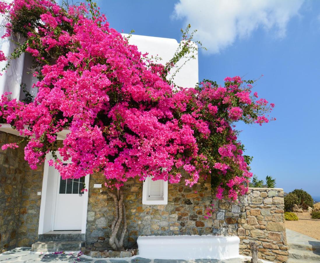Holiday home Sea Breeze Mykonos