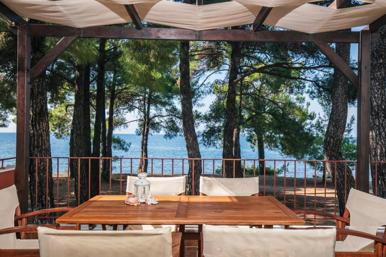 Pinereef Blue * Skala Rachoni (Thasos)