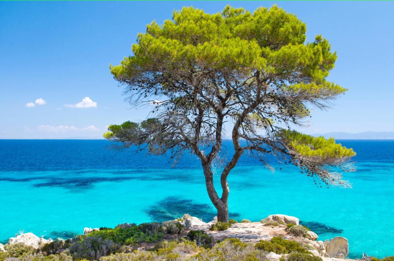 Stonehouse Ioannis Holiday home Psakoudia