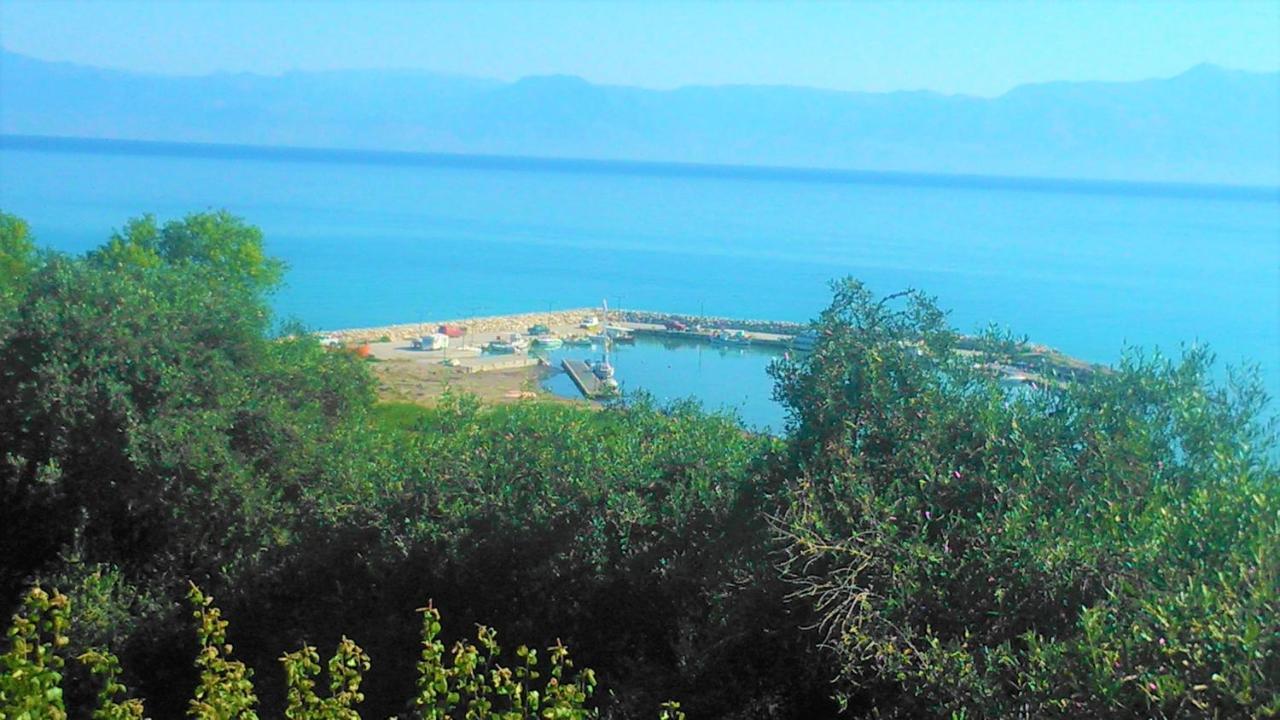Maria's Paradise Astrakeri