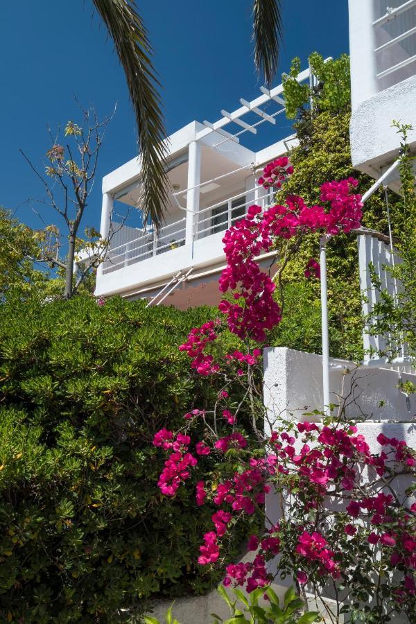 Sounio, Modern Beach Artemis
