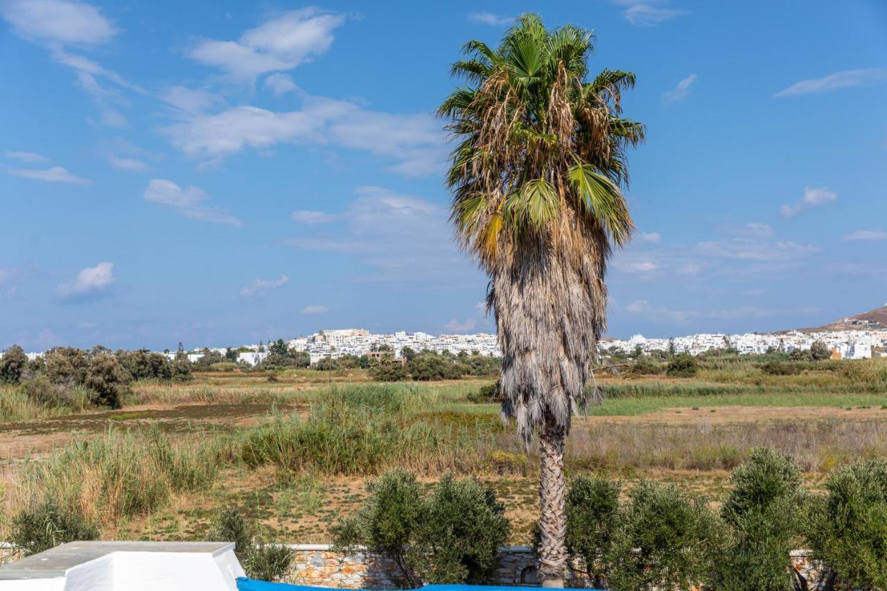 Apartment Surfer Paradise Naxos City