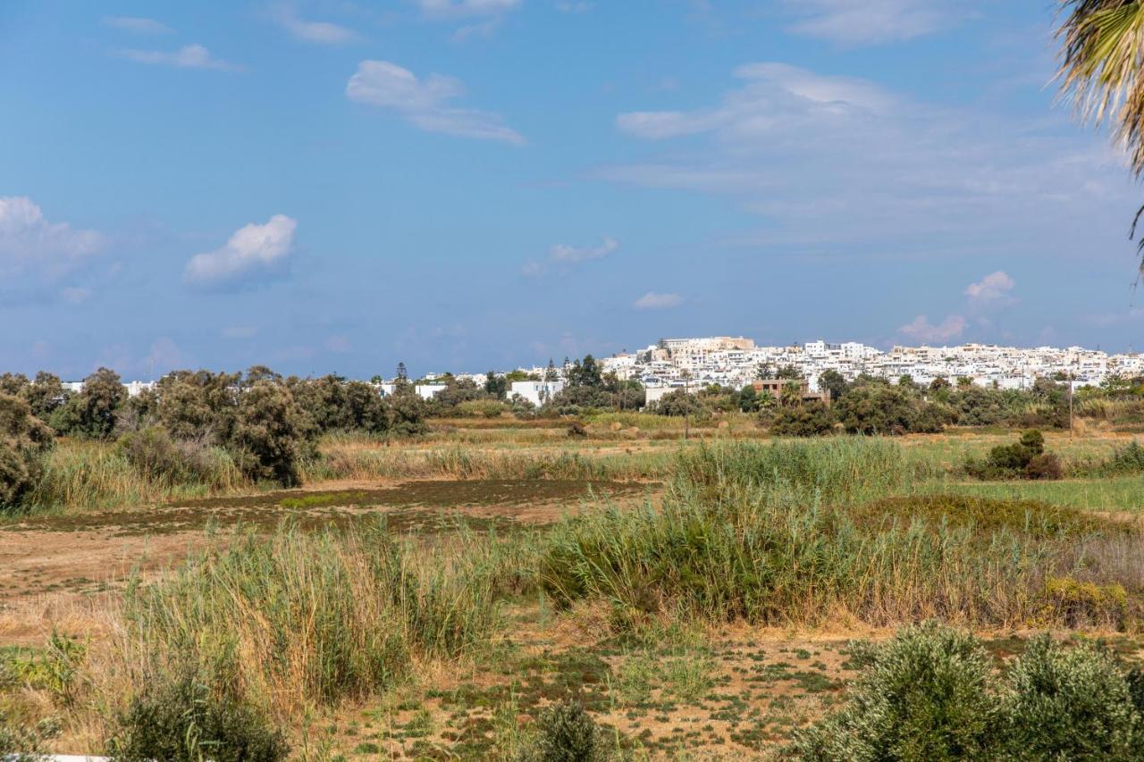 Surfer Paradise Naxos City