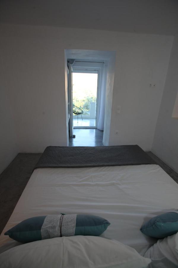 Apartment Edem Andros Town