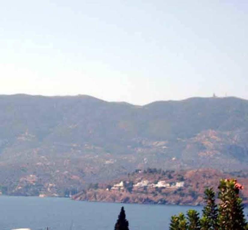 Dolphins Poros Town