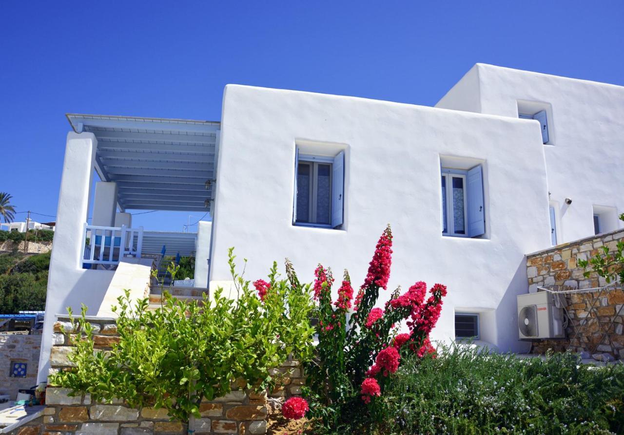 Apartment White Blue & *