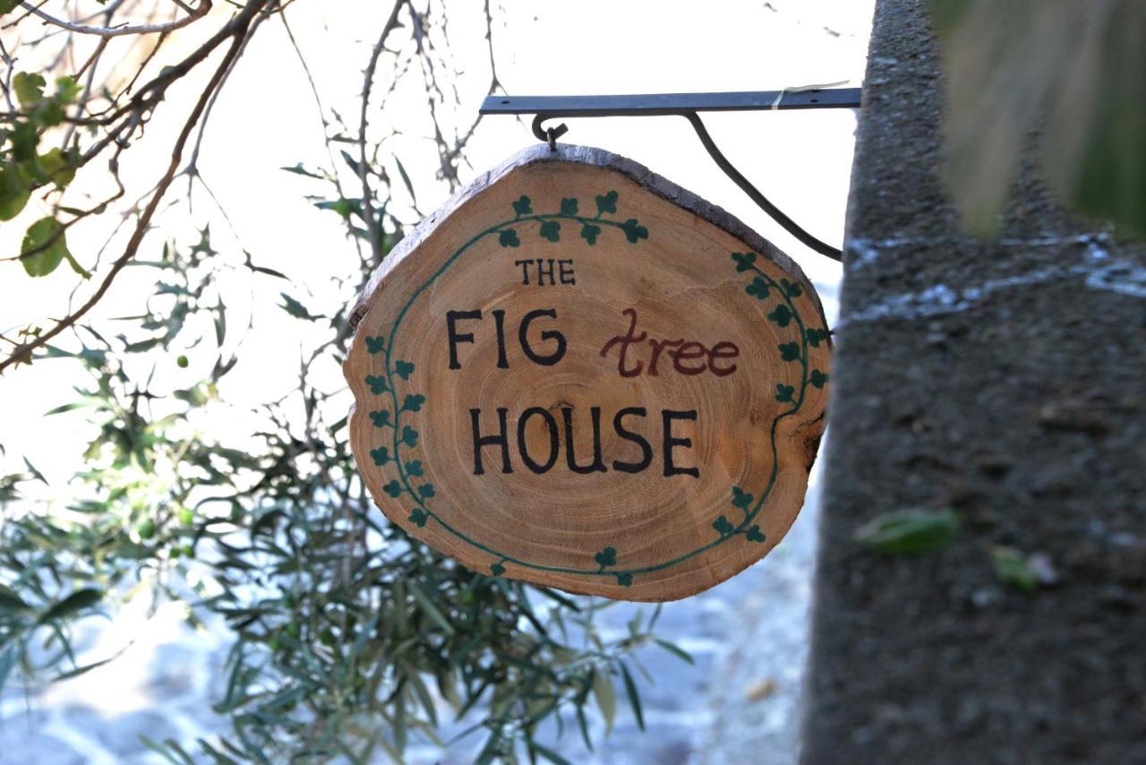 Holiday home The Fig Tree House Samothraki