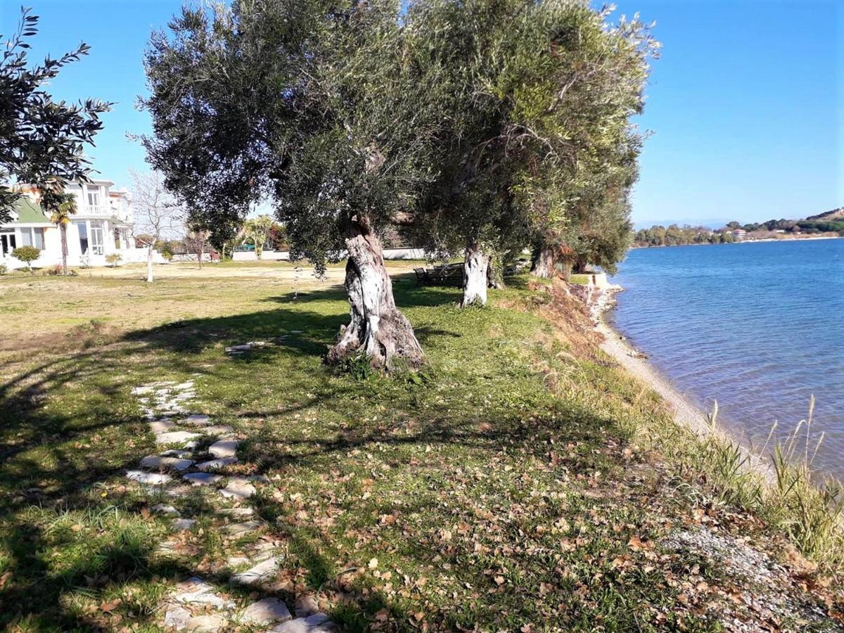 Alba * Preveza