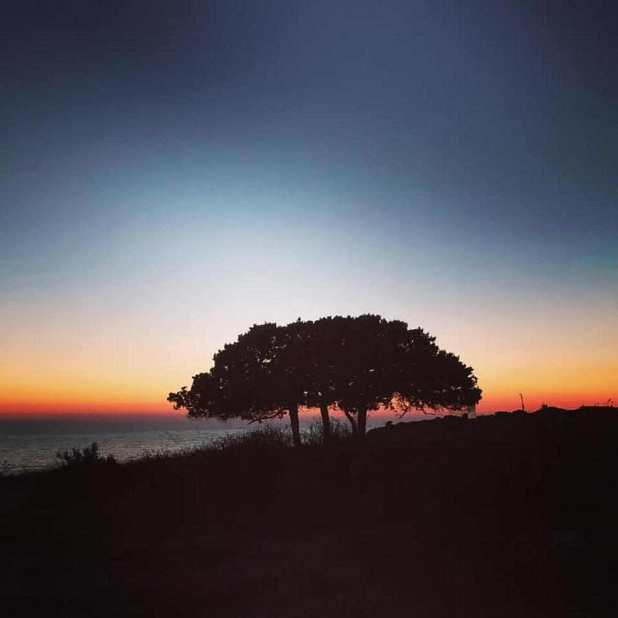 Hotel Sunset & Antiparos