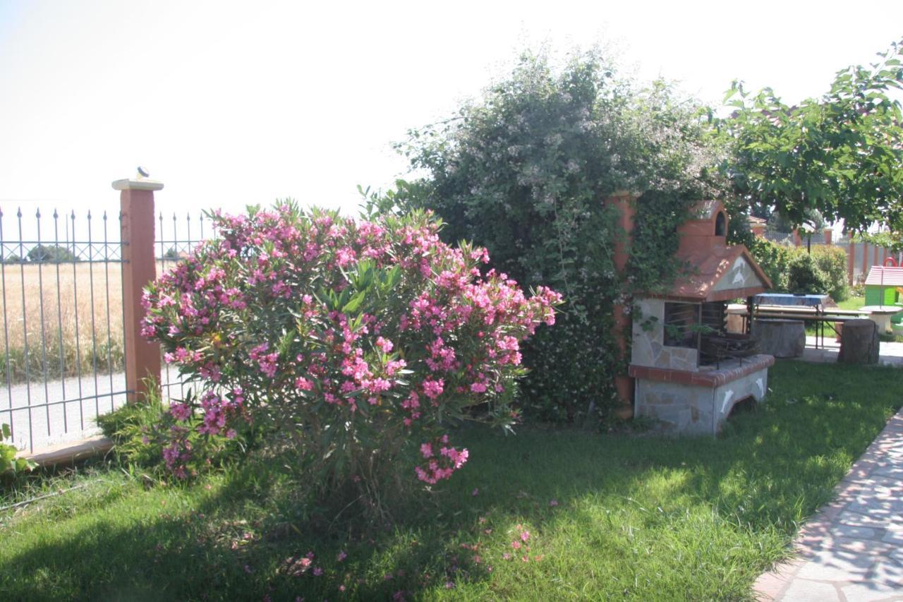 Daniel Kallithea (Chalkidiki)