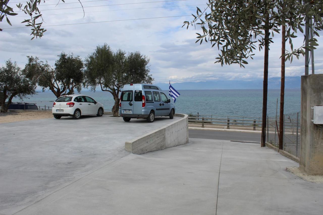 Hotel Sofotel 3*