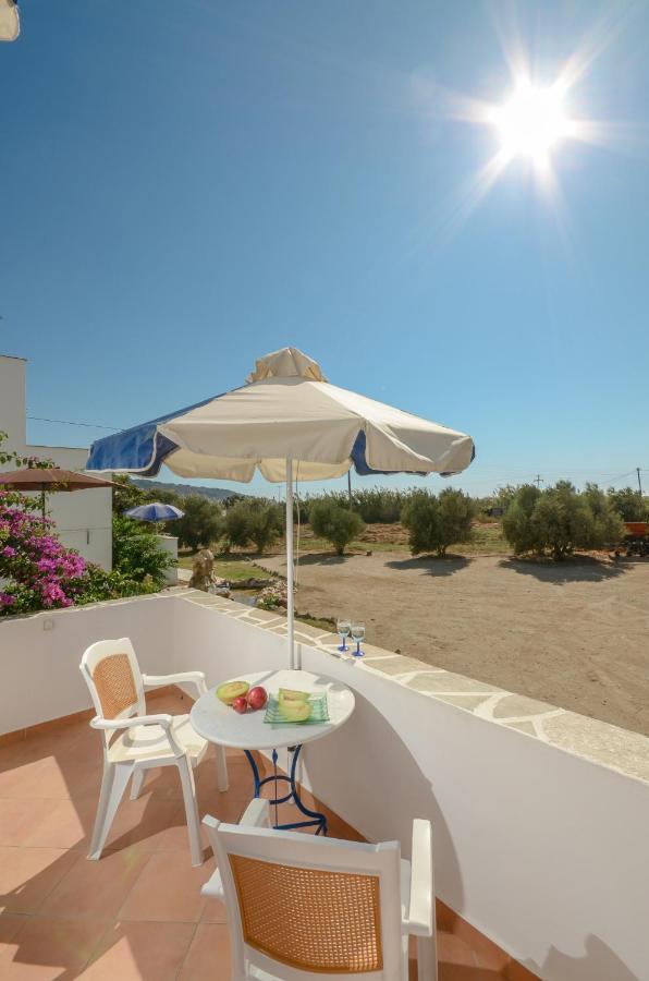 Apartment Mateus