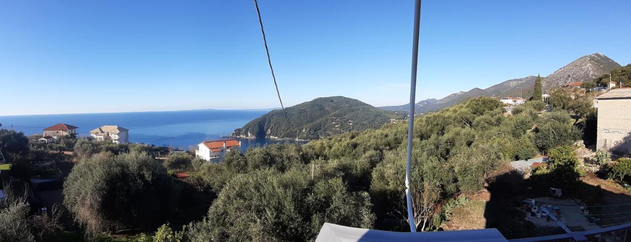 Olive Tree *