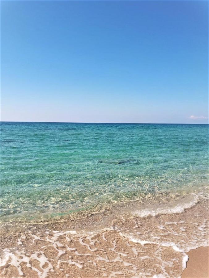 Golden Beach 3* Nea Thesi