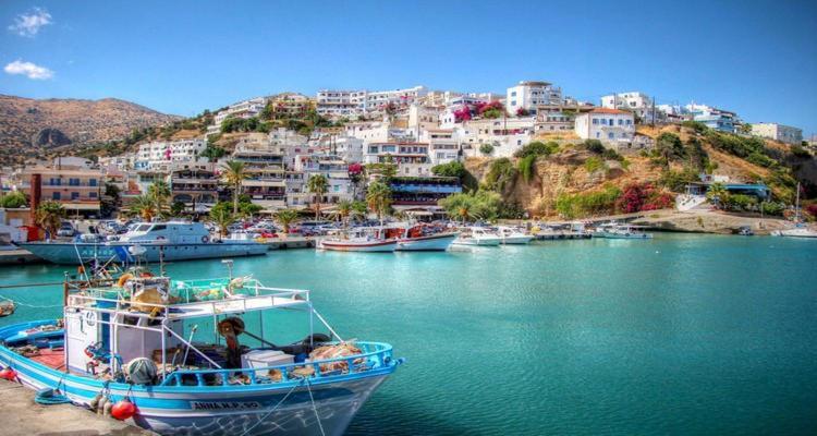Liofyto * Agia Galini (Crete)