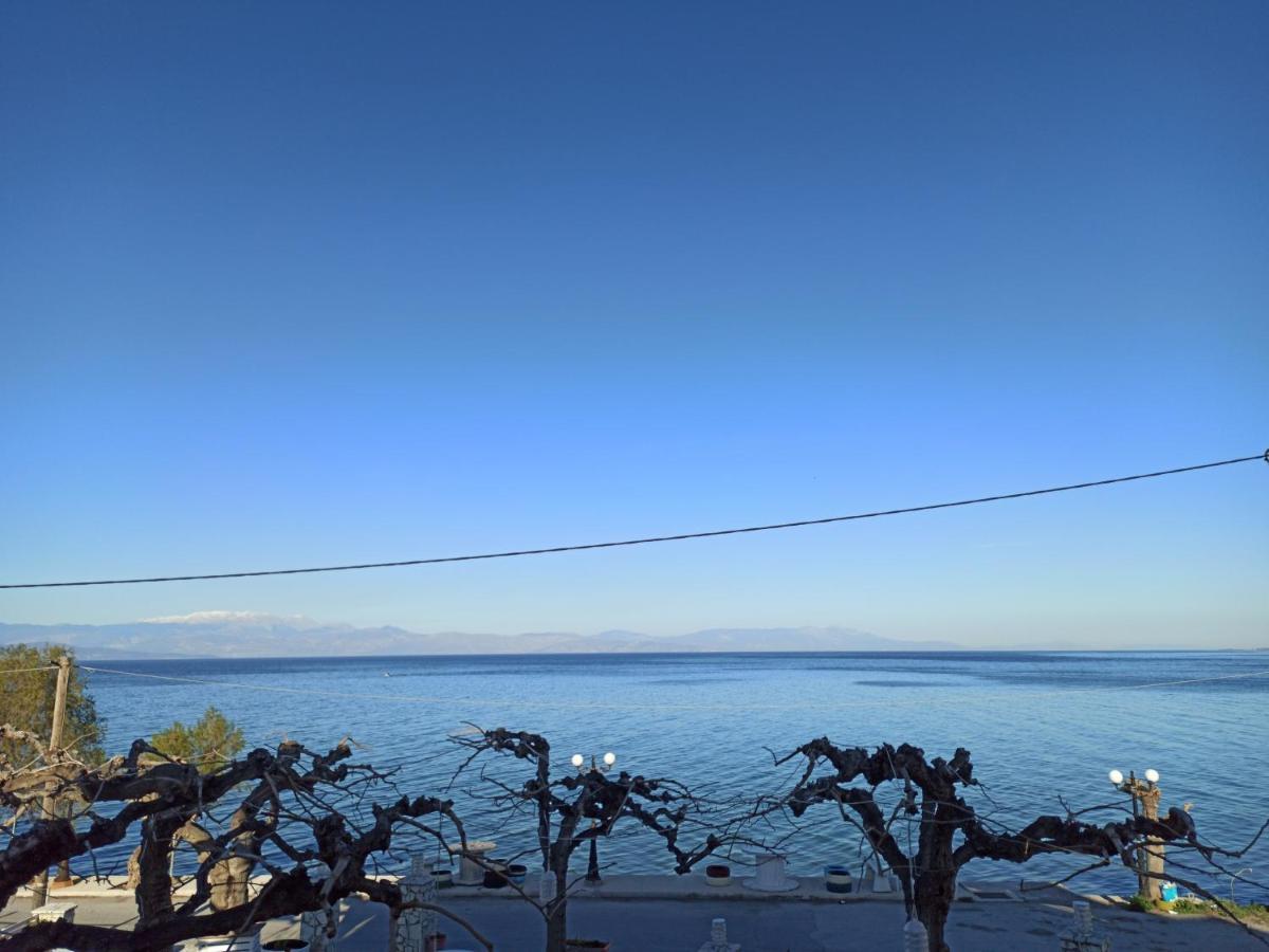 Panorama - Restaurant