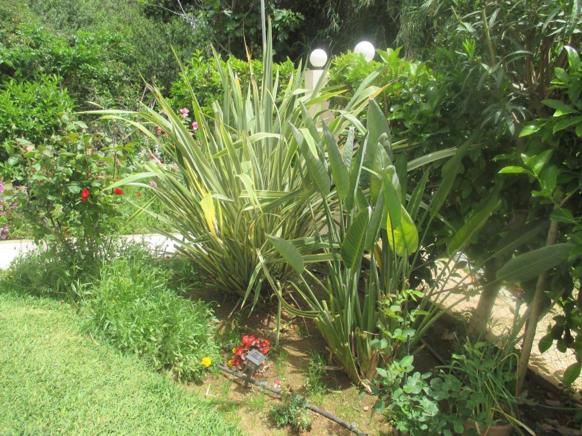 Apartment Verde