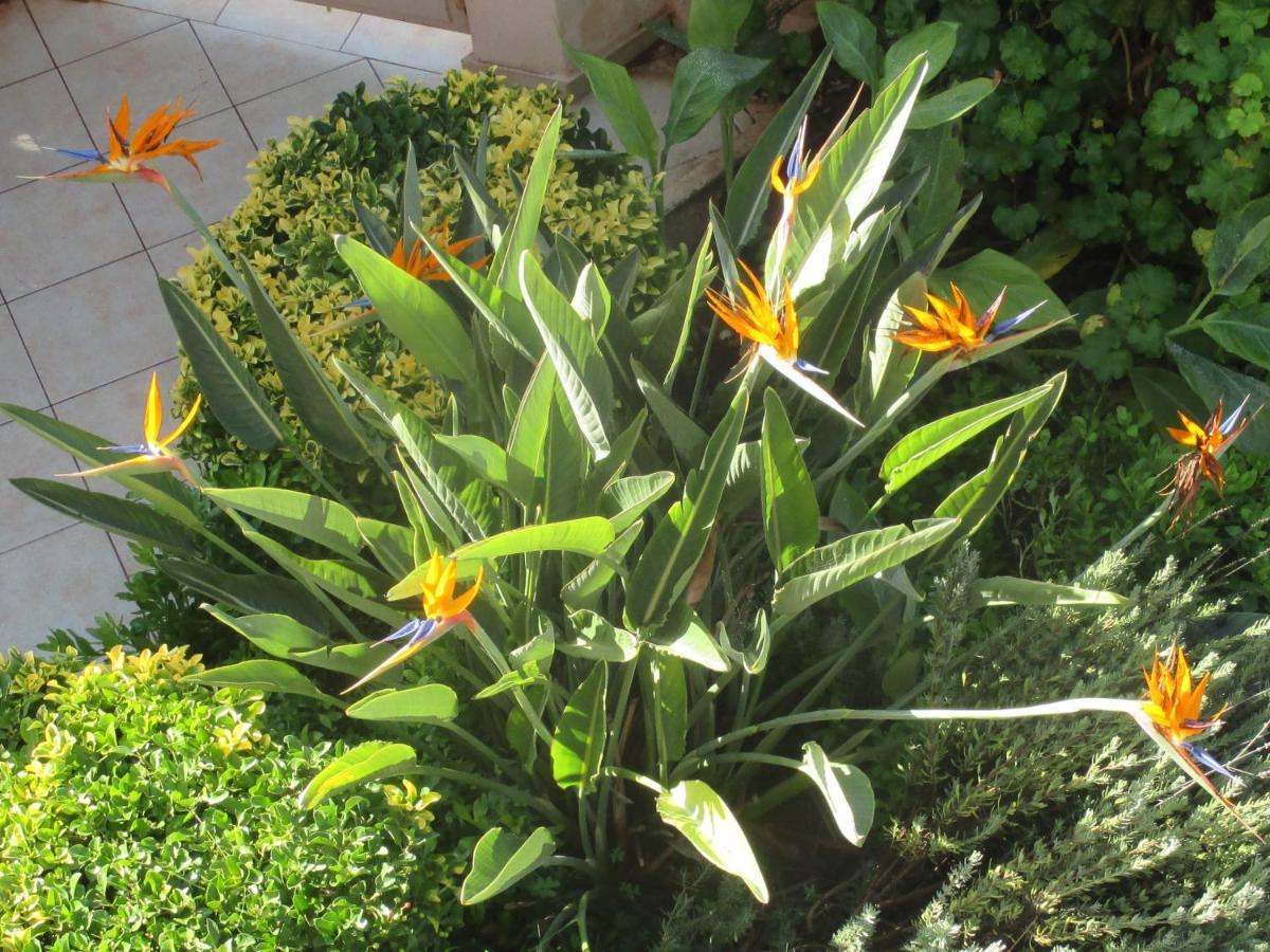 Apartment Verde Nea Makri