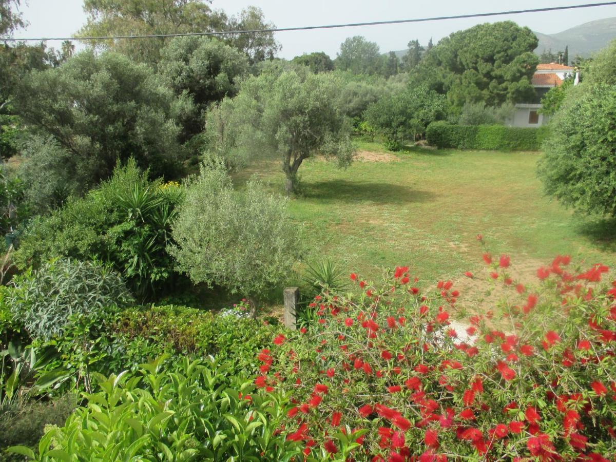 Verde * Nea Makri