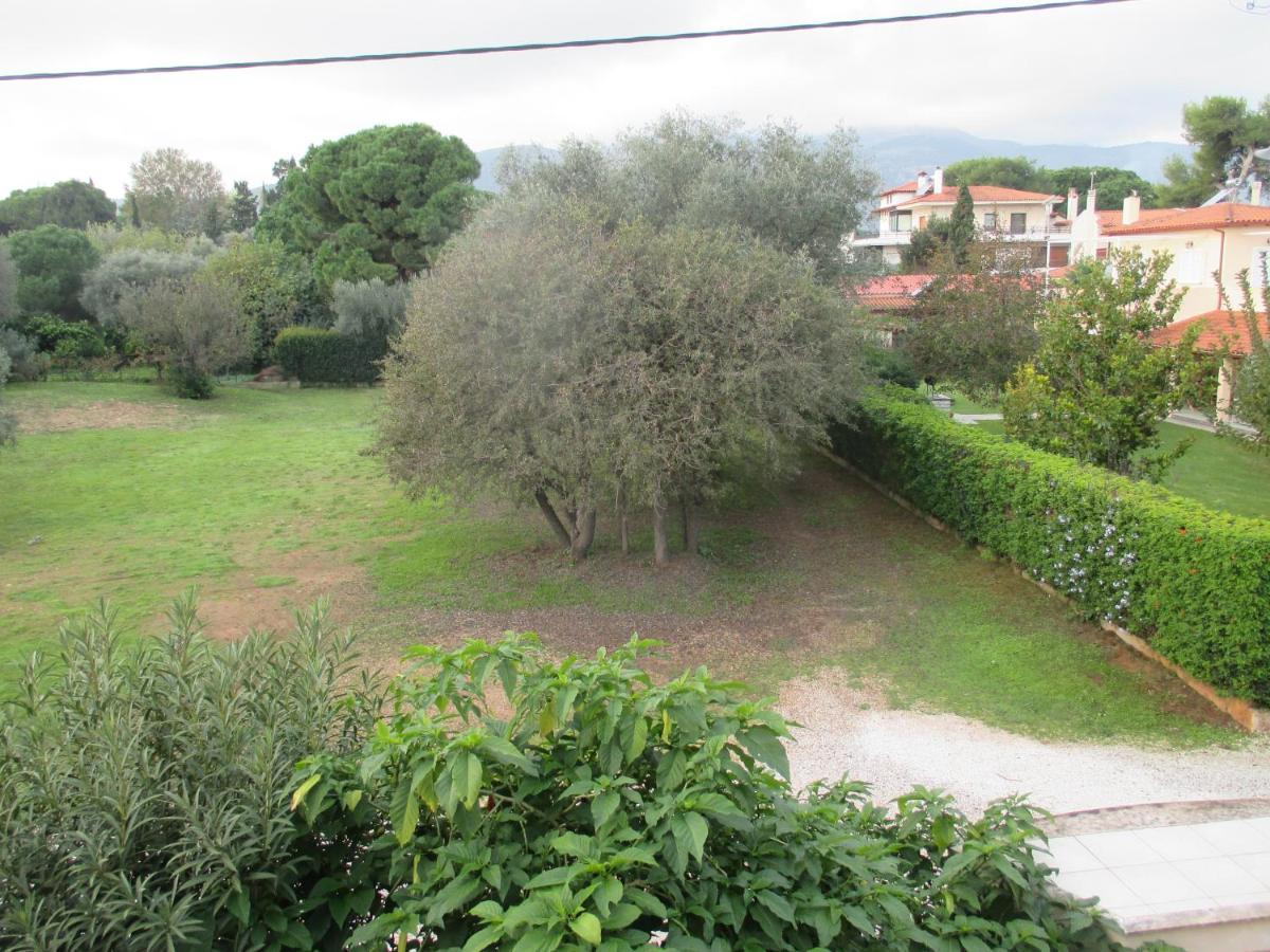 Verde Nea Makri