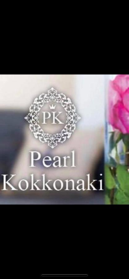 Pearl Kokkonaki Apartment Kokkonion