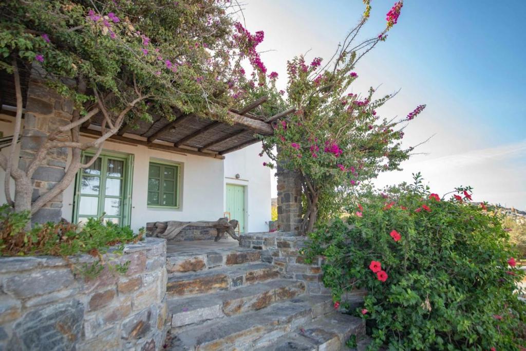 To Armiro Boutique Plaka (Naxos)