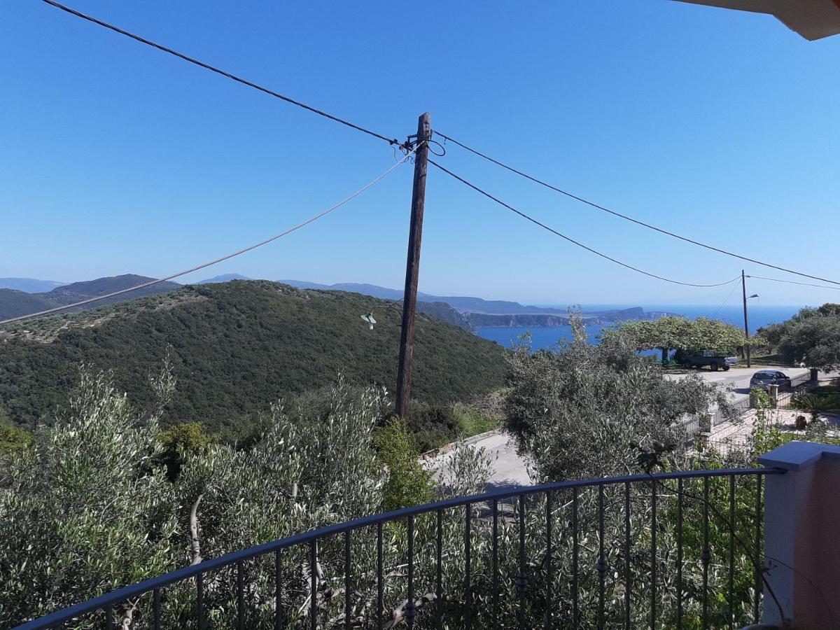Olive Tree Parga