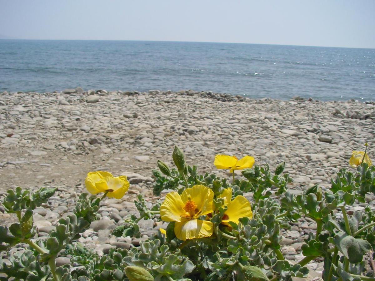 Liofyto Apartment Agia Galini (Crete)