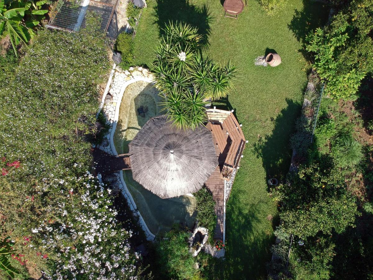 Sunny Garden