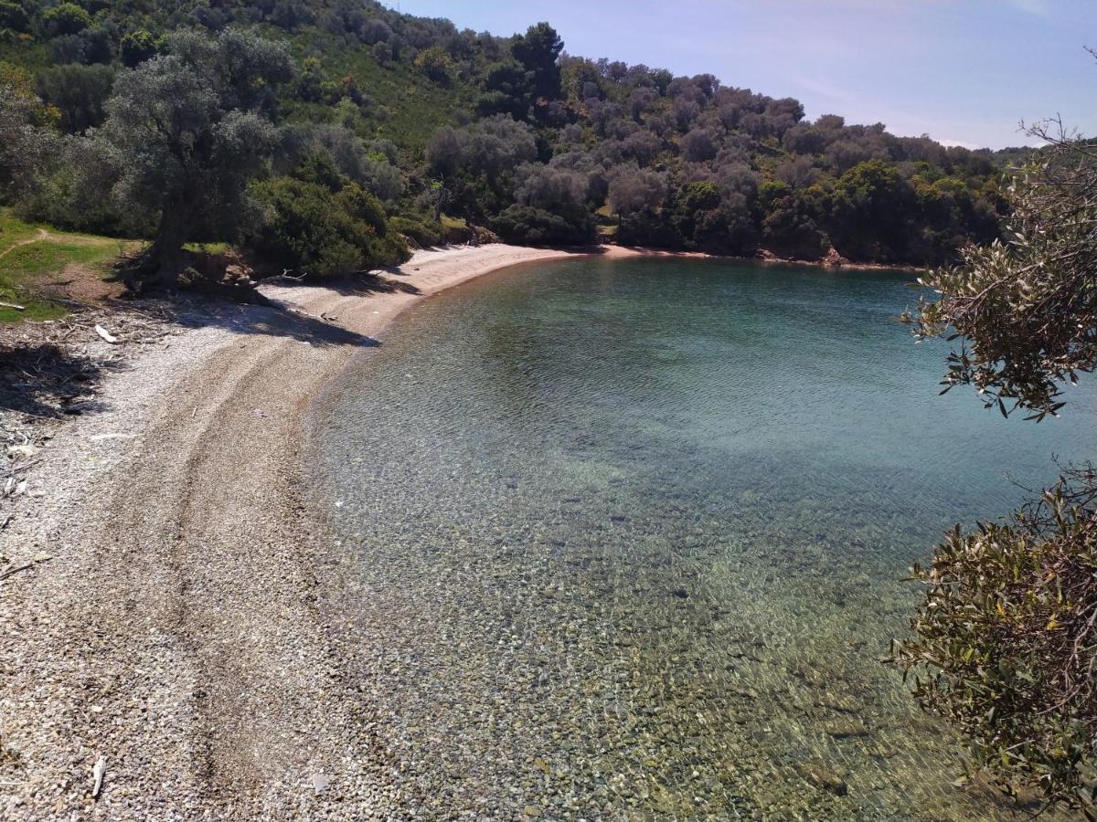 Inn Athina-milina *