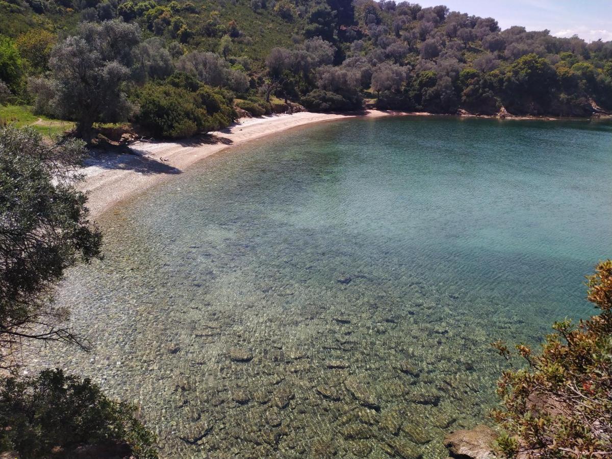 Athina-milina Milina