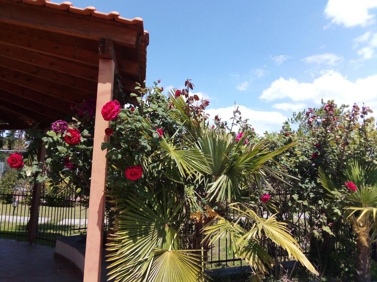 Villa Anna Leptokarya (Pieria)