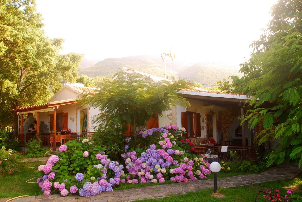 Hotel Alekas *
