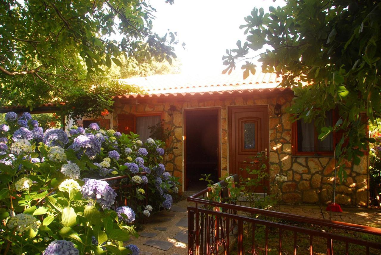 Alekas Hotel Therma (Samothraki)