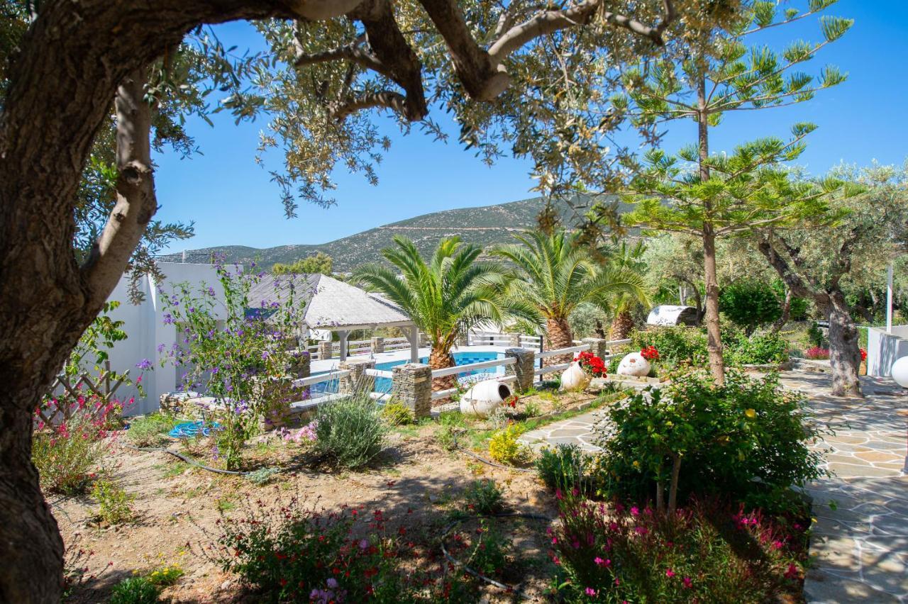 Apartment Irini Platis Gialos (Sifnos)