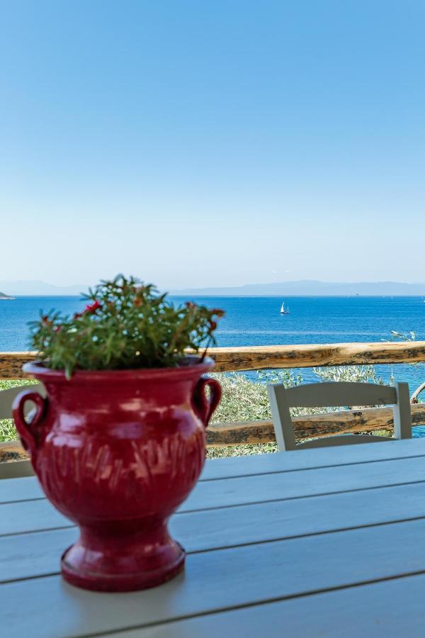 Guest house Stamatiou Estate *