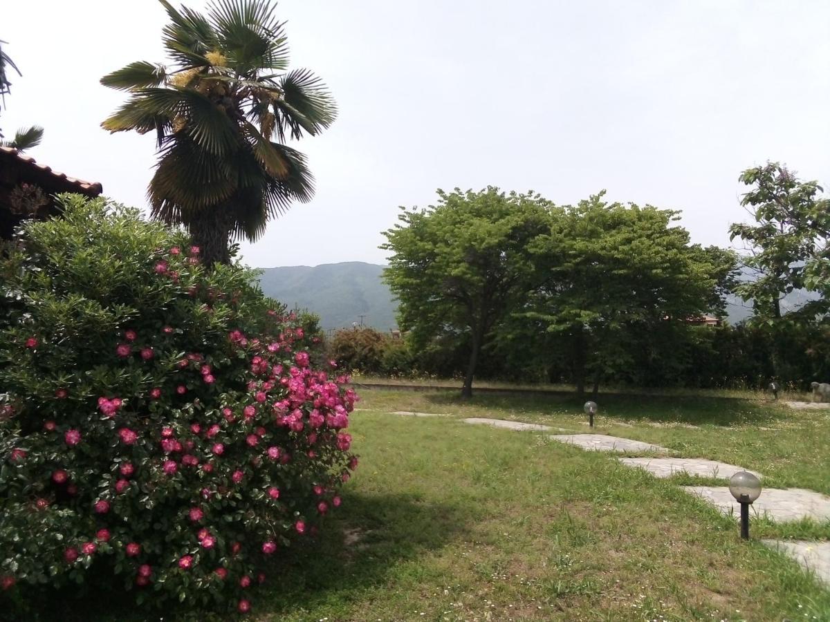 Villa Anna Leptokarya (Pieria)
