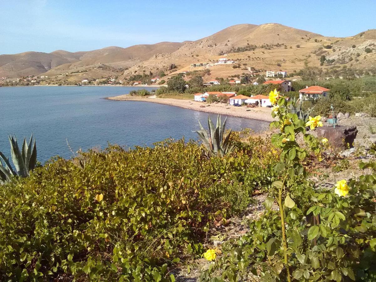 Apartment Enalion Agios Ioannis Kaspaka