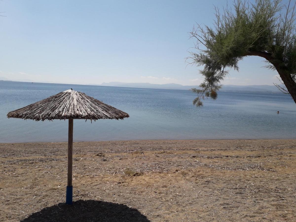 Poseidon Aparthotel *