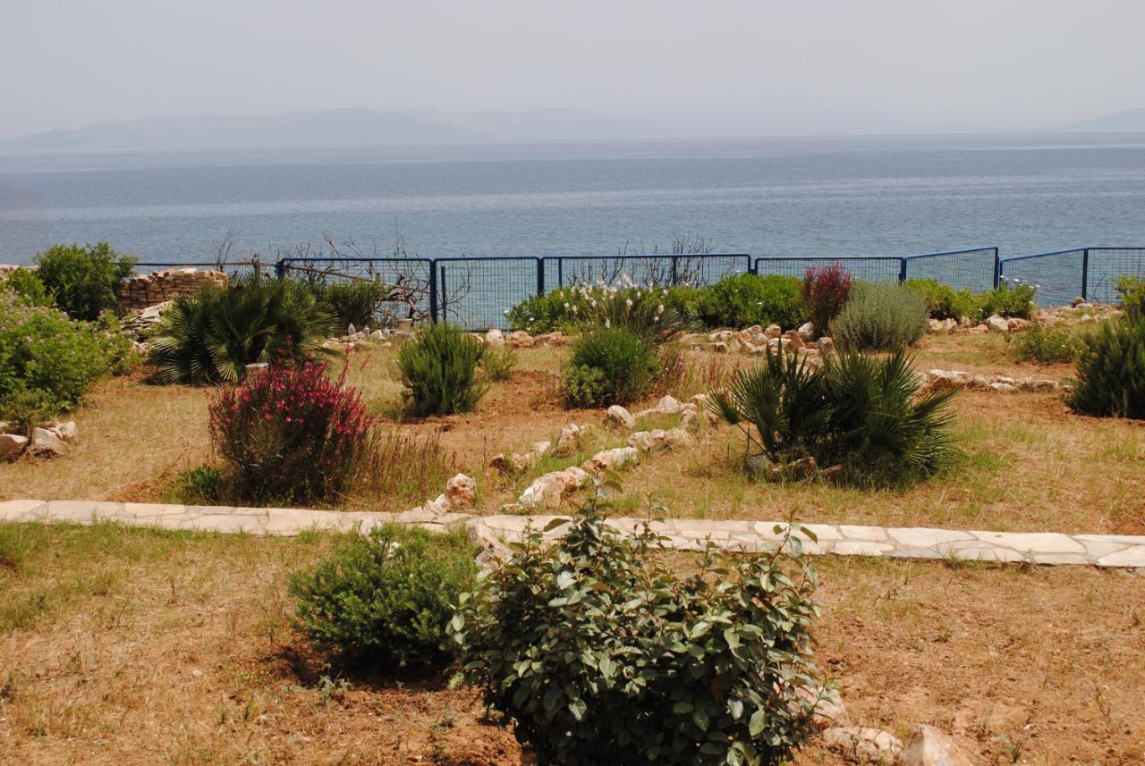 Andromachi Rafina-Pikermi