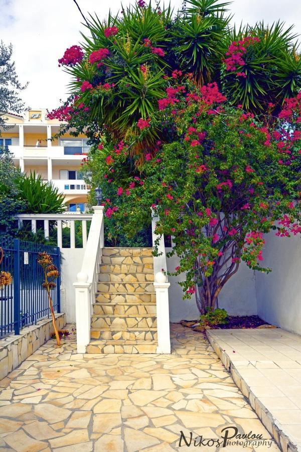 Dolphins Aparthotel 5*