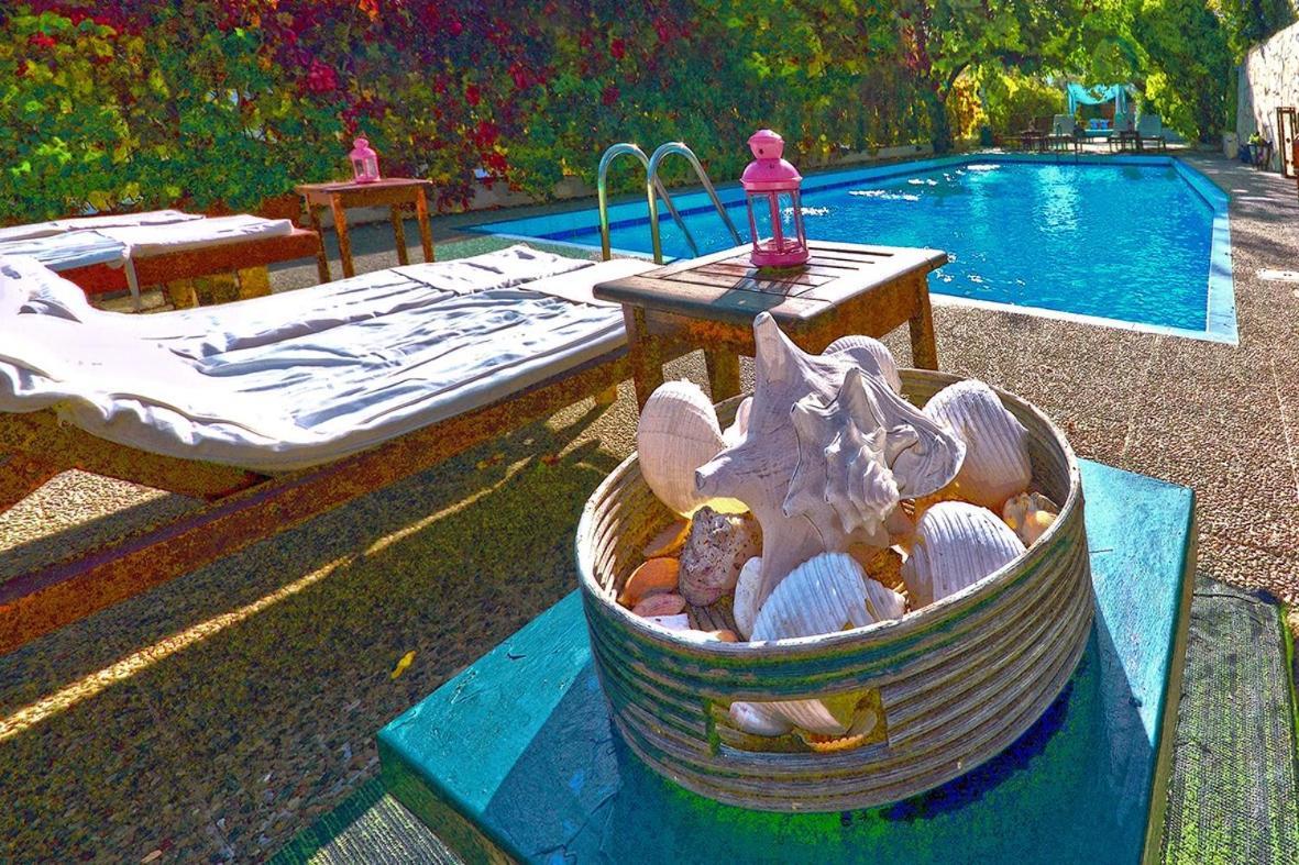 Aparthotel Dolphins