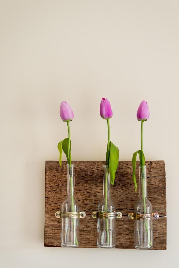 Apartment Armonia