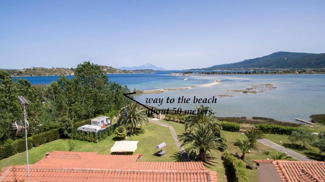 Laguna *