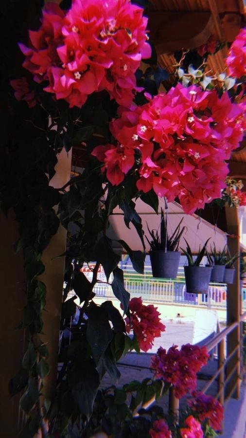 Apartment Athina K