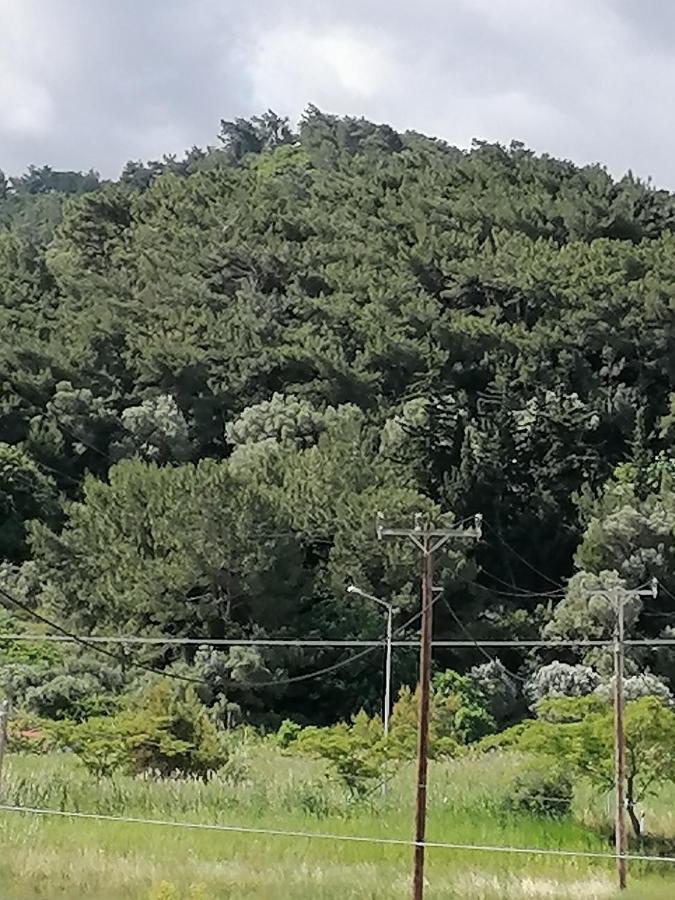 Lefteris Aparthotel Kokkari