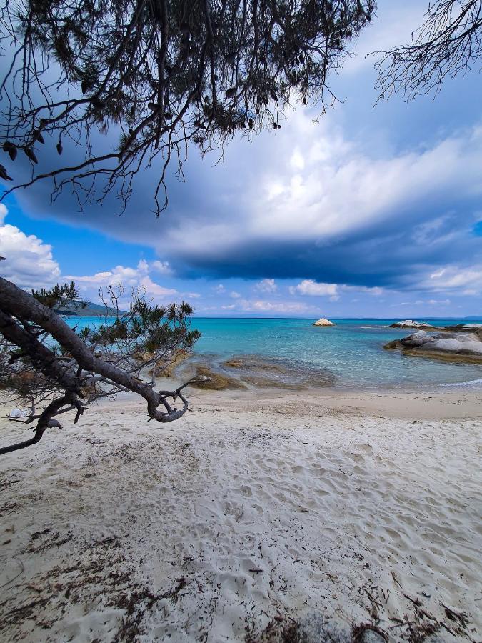 Aparthotel Sky Luxury Sarti