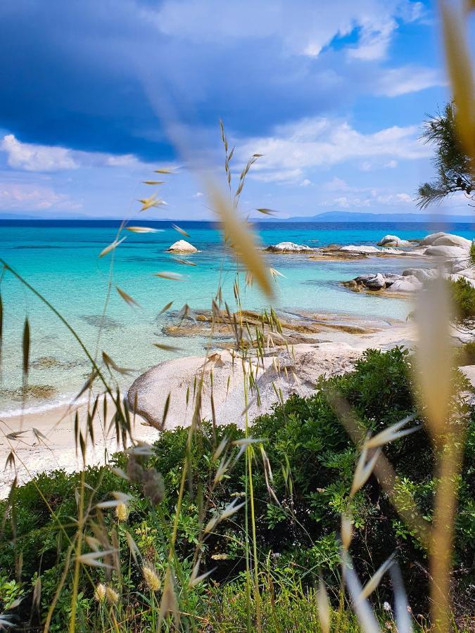 Sky Luxury Sarti