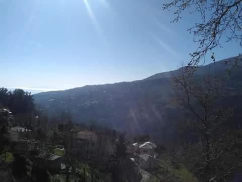 Hotel Erotas 3*