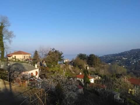 Erotas Agios Dimitrios (Magnesia)